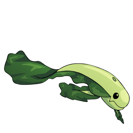 Kale Whale